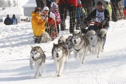 Lenk 2012 SM